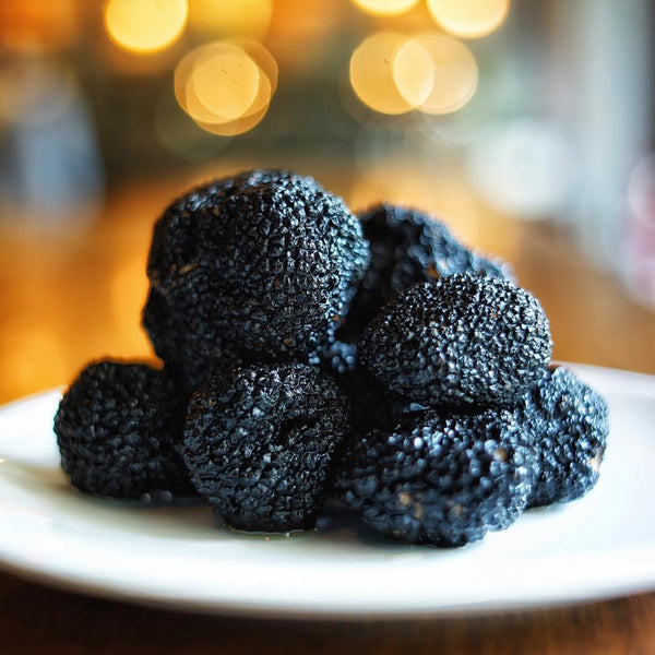 Black Truffle Melanosporum
