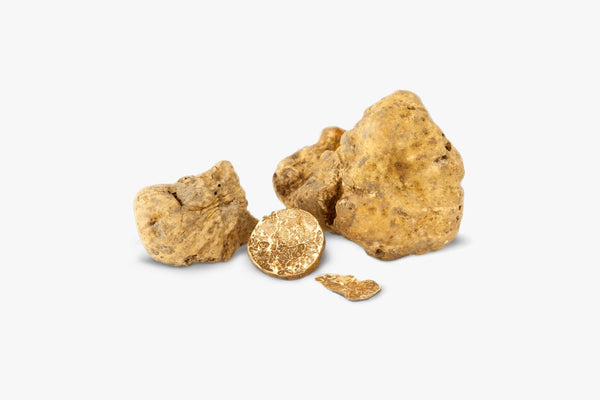 White Truffle