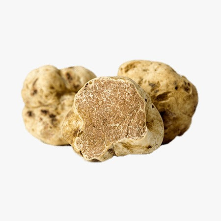 White Truffle